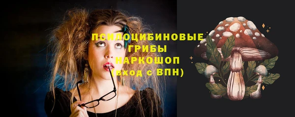 ПСИЛОЦИБИНОВЫЕ ГРИБЫ Баксан