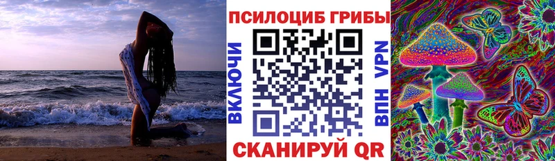 купить наркотик  это как зайти  Галлюциногенные грибы мухоморы  Родники 